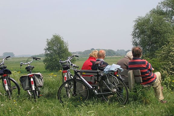 Eine Fahrradgruppe von vier Personen legt an einer Bank eine Pause ein, Sie haben Aussicht auf Wiesen und Wald.  