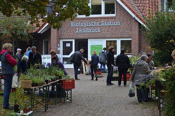 Staudenboerse_Biologische_Station_Zwillbrock.jpg  