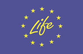 life_logo.gif  