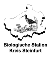 logo_biosst_v2.png  